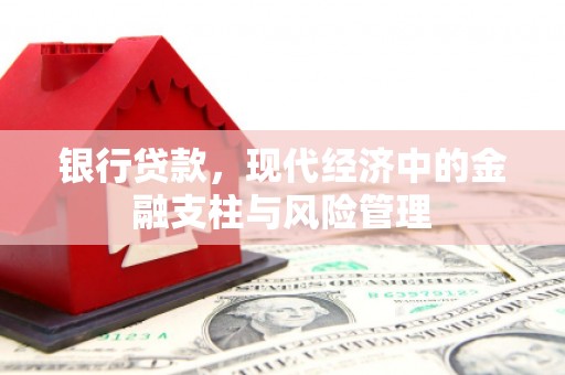 昭平银行贷款，现代经济中的金融支柱与风险管理