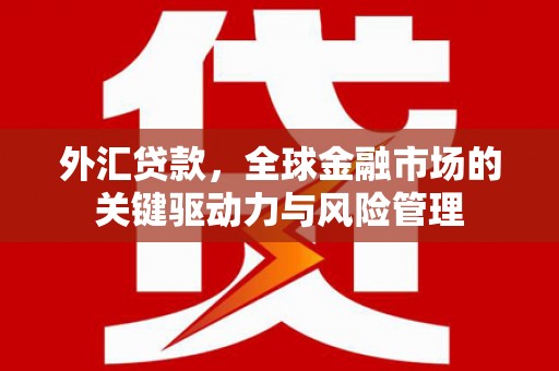 昭平外汇贷款，全球金融市场的关键驱动力与风险管理