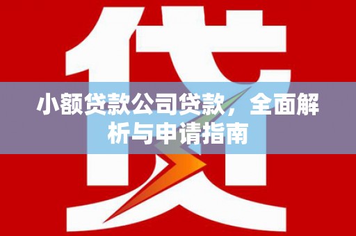 昭平小额贷款公司贷款，全面解析与申请指南