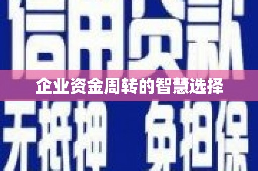 昭平企业资金周转的智慧选择