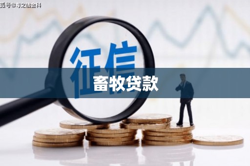 昭平畜牧贷款
