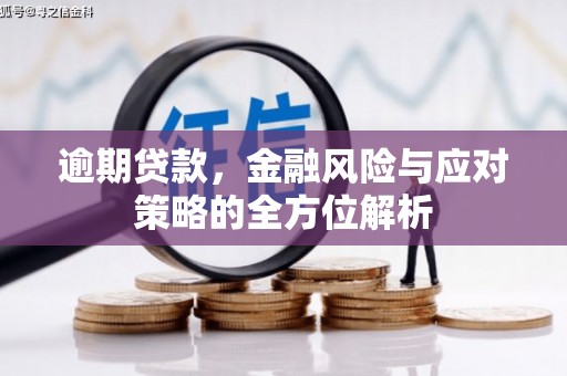 昭平逾期贷款，金融风险与应对策略的全方位解析
