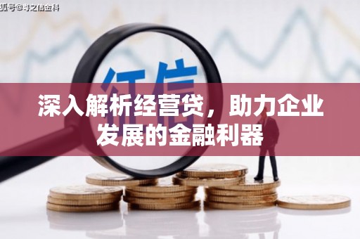 昭平深入解析经营贷，助力企业发展的金融利器