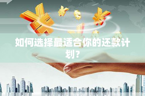 昭平如何选择最适合你的还款计划？