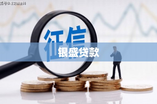 昭平银盛贷款
