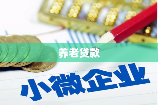昭平养老贷款