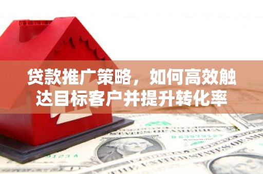 昭平贷款推广策略，如何高效触达目标客户并提升转化率