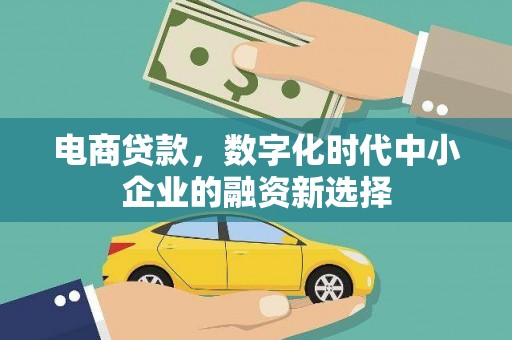 昭平电商贷款，数字化时代中小企业的融资新选择