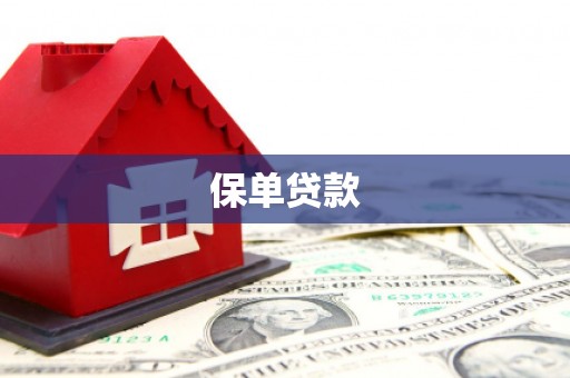 昭平保单贷款