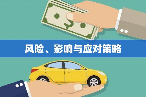 昭平风险、影响与应对策略