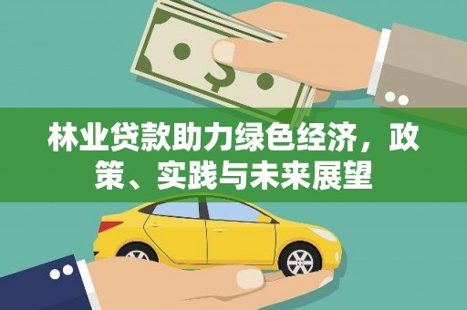 昭平林业贷款助力绿色经济，政策、实践与未来展望
