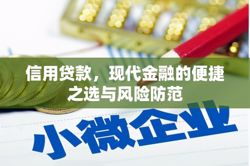 昭平信用贷款，现代金融的便捷之选与风险防范