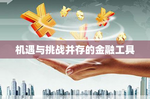 昭平机遇与挑战并存的金融工具