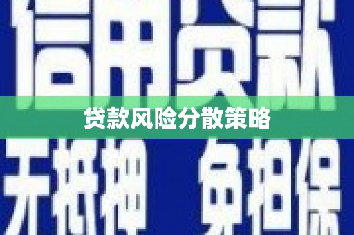 昭平贷款风险分散策略
