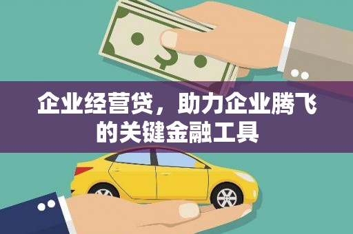 昭平企业经营贷，助力企业腾飞的关键金融工具