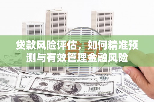 昭平贷款风险评估，如何精准预测与有效管理金融风险