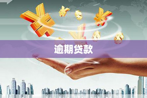 昭平逾期贷款
