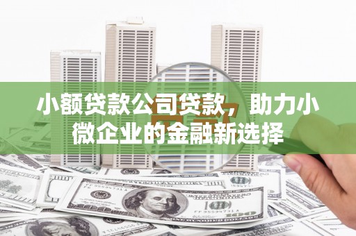 昭平小额贷款公司贷款，助力小微企业的金融新选择