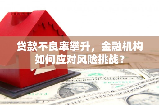 昭平贷款不良率攀升，金融机构如何应对风险挑战？