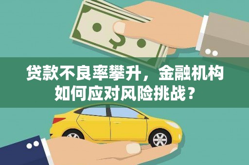 昭平贷款不良率攀升，金融机构如何应对风险挑战？