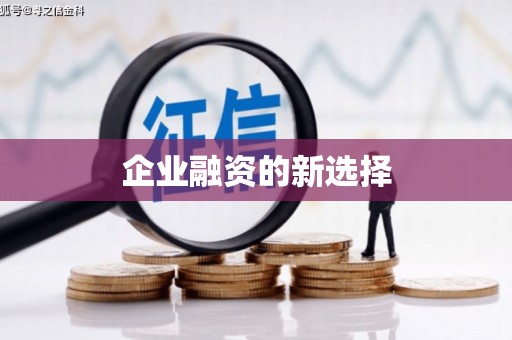 昭平企业融资的新选择