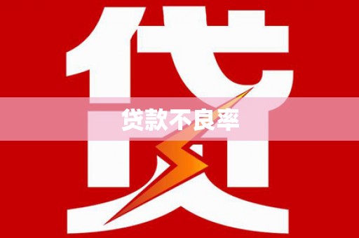 昭平贷款不良率