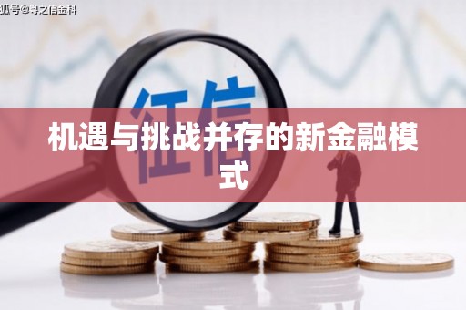 昭平机遇与挑战并存的新金融模式