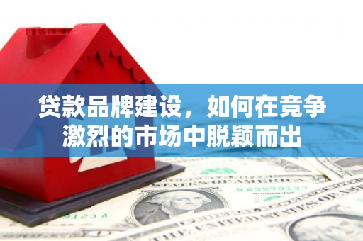 昭平贷款品牌建设，如何在竞争激烈的市场中脱颖而出
