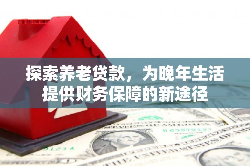 昭平探索养老贷款，为晚年生活提供财务保障的新途径
