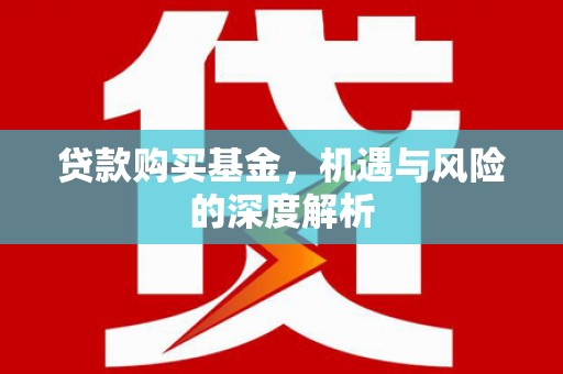 昭平贷款购买基金，机遇与风险的深度解析