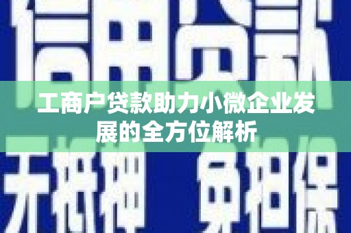 昭平工商户贷款助力小微企业发展的全方位解析