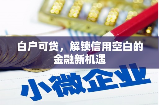 昭平白户可贷，解锁信用空白的金融新机遇