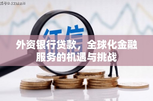 昭平外资银行贷款，全球化金融服务的机遇与挑战