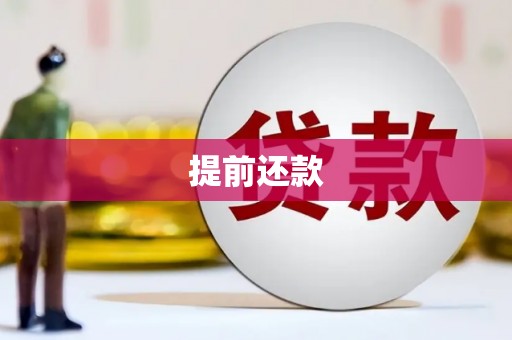昭平提前还款