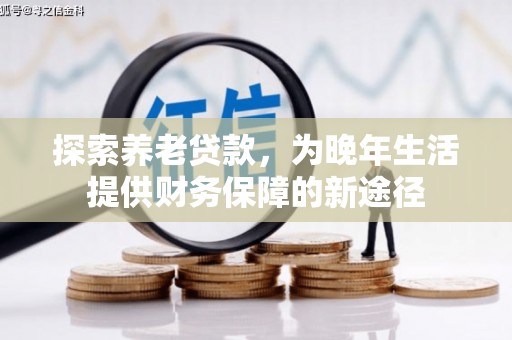 昭平探索养老贷款，为晚年生活提供财务保障的新途径
