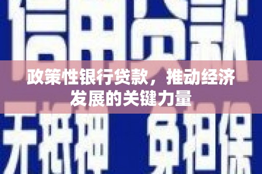 昭平政策性银行贷款，推动经济发展的关键力量