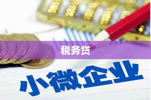 昭平税务贷