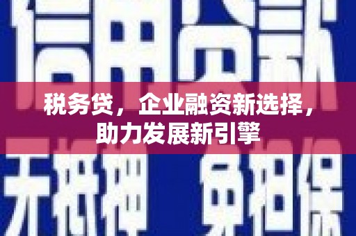 昭平税务贷，企业融资新选择，助力发展新引擎