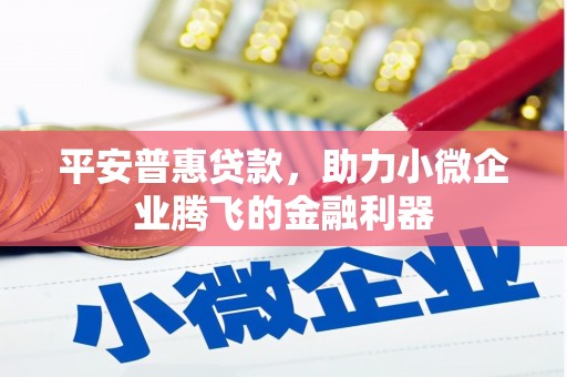 昭平平安普惠贷款，助力小微企业腾飞的金融利器
