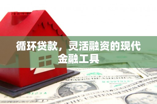 昭平循环贷款，灵活融资的现代金融工具