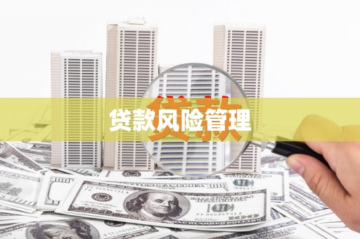 昭平贷款风险管理