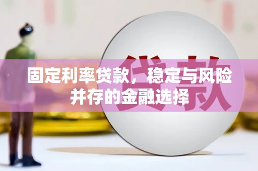 昭平固定利率贷款，稳定与风险并存的金融选择