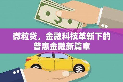 昭平微粒贷，金融科技革新下的普惠金融新篇章