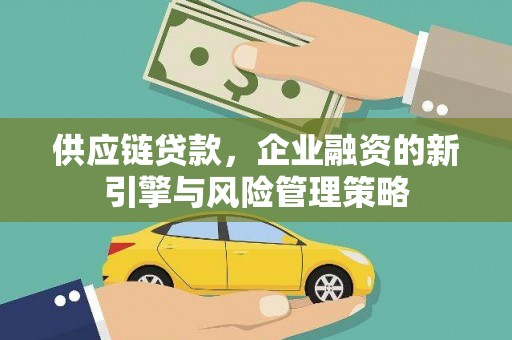 昭平供应链贷款，企业融资的新引擎与风险管理策略