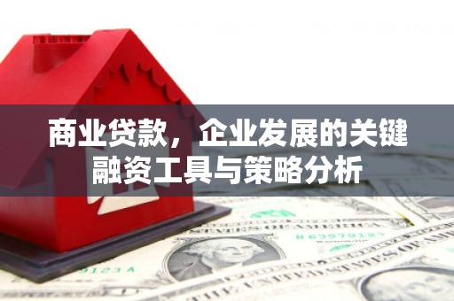 昭平商业贷款，企业发展的关键融资工具与策略分析