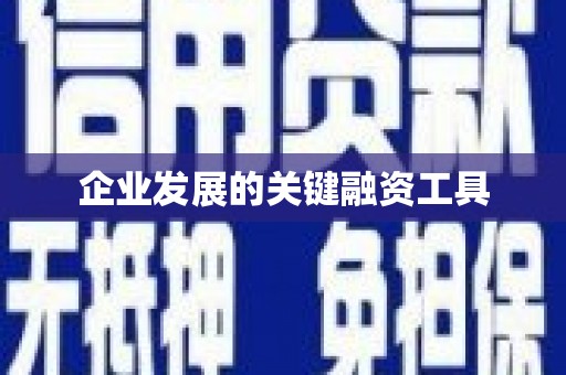 昭平企业发展的关键融资工具