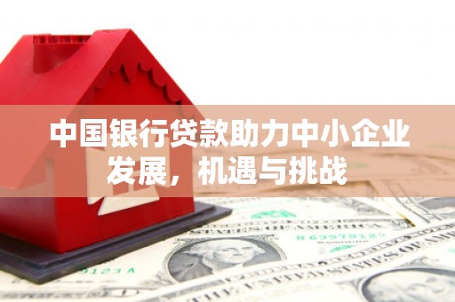 昭平中国银行贷款助力中小企业发展，机遇与挑战