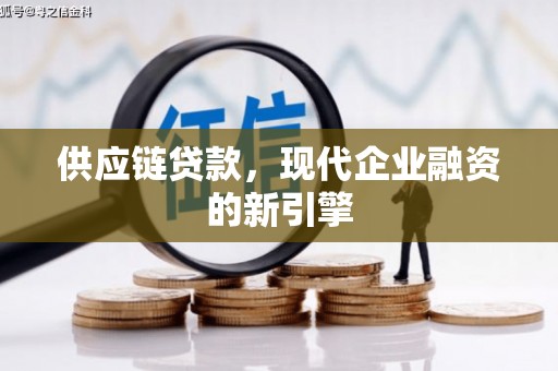 昭平供应链贷款，现代企业融资的新引擎