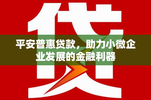 昭平平安普惠贷款，助力小微企业发展的金融利器