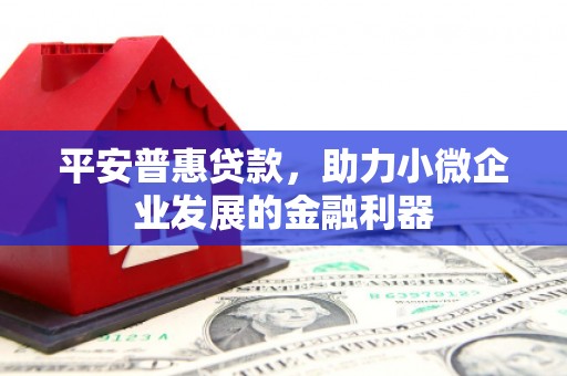 昭平平安普惠贷款，助力小微企业发展的金融利器
